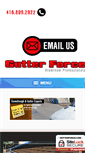 Mobile Screenshot of gutterforce.com